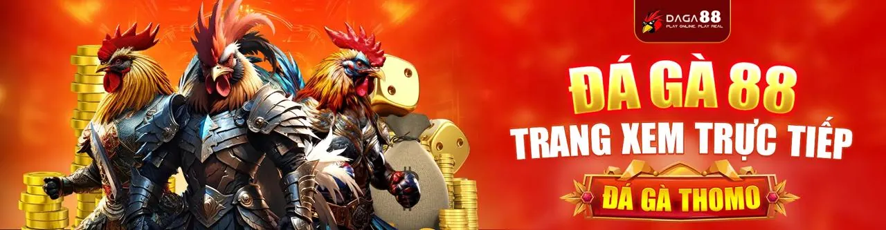 Sân đấu đá gà trực tuyến sôi động tại dp568 login
